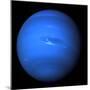 Neptune, Voyager 2 Image-null-Mounted Premium Photographic Print