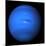 Neptune, Voyager 2 Image-null-Mounted Photographic Print