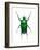 Neptunides Flower Beetle-Lawrence Lawry-Framed Photographic Print