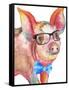 Nerdy Pig-Elizabeth Medley-Framed Stretched Canvas