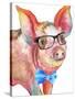 Nerdy Pig-Elizabeth Medley-Stretched Canvas