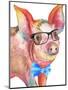 Nerdy Pig-Elizabeth Medley-Mounted Art Print