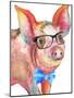 Nerdy Pig-Elizabeth Medley-Mounted Art Print