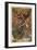 Nerium Oleander Perfume Advertisement-null-Framed Giclee Print