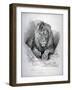 Nero, a Lion from Senegal, Now Exhibiting in the Tower of London, 1814-Edwin Henry Landseer-Framed Giclee Print