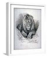 Nero, a Lion from Senegal, Now Exhibiting in the Tower of London, 1814-Edwin Henry Landseer-Framed Giclee Print