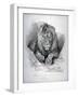 Nero, a Lion from Senegal, Now Exhibiting in the Tower of London, 1814-Edwin Henry Landseer-Framed Giclee Print