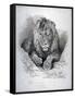 Nero, a Lion from Senegal, Now Exhibiting in the Tower of London, 1814-Edwin Henry Landseer-Framed Stretched Canvas