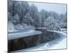 Nerussa River Beginning to Freeze, Bryansky Les Zapovednik, Russia-Igor Shpilenok-Mounted Photographic Print