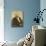 Nerval Photo-null-Photographic Print displayed on a wall