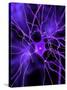 Nerve Cell, Artwork-SCIEPRO-Stretched Canvas