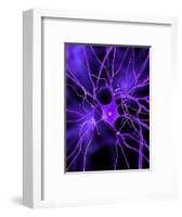 Nerve Cell, Artwork-SCIEPRO-Framed Premium Photographic Print