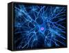 Nerve Cell, Artwork-SCIEPRO-Framed Stretched Canvas