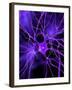 Nerve Cell, Artwork-SCIEPRO-Framed Photographic Print