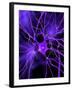 Nerve Cell, Artwork-SCIEPRO-Framed Photographic Print