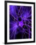 Nerve Cell, Artwork-SCIEPRO-Framed Photographic Print