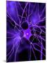 Nerve Cell, Artwork-SCIEPRO-Mounted Photographic Print