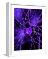 Nerve Cell, Artwork-SCIEPRO-Framed Photographic Print