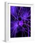 Nerve Cell, Artwork-SCIEPRO-Framed Photographic Print