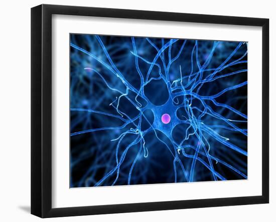 Nerve Cell, Artwork-SCIEPRO-Framed Photographic Print