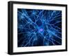 Nerve Cell, Artwork-SCIEPRO-Framed Photographic Print