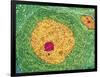 Nerve Cell, TEM-Thomas Deerinck-Framed Photographic Print