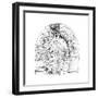 Nerve Cells, 1894-Santiago Ramon y Cajal-Framed Giclee Print