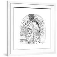 Nerve Cells, 1894-Santiago Ramon y Cajal-Framed Giclee Print