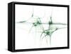Nerve Cells, Abstract Artwork-Laguna Design-Framed Stretched Canvas