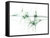 Nerve Cells, Abstract Artwork-Laguna Design-Framed Stretched Canvas