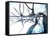 Nerve Cells, Computer Artwork-null-Framed Stretched Canvas
