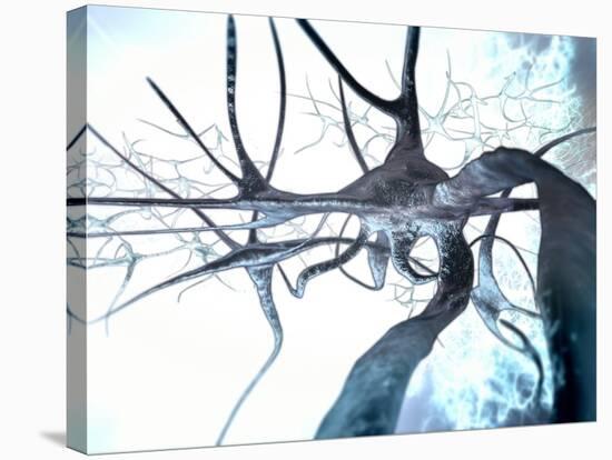 Nerve Cells, Computer Artwork-null-Stretched Canvas