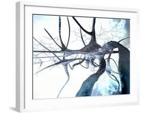 Nerve Cells, Computer Artwork-null-Framed Photographic Print