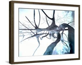 Nerve Cells, Computer Artwork-null-Framed Photographic Print