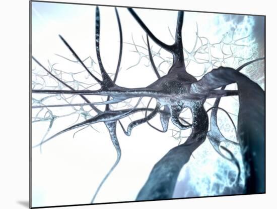 Nerve Cells, Computer Artwork-null-Mounted Photographic Print