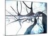 Nerve Cells, Computer Artwork-null-Mounted Photographic Print