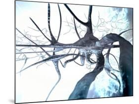 Nerve Cells, Computer Artwork-null-Mounted Photographic Print
