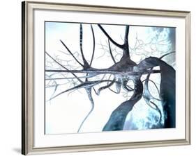 Nerve Cells, Computer Artwork-null-Framed Photographic Print