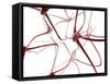 Nerve Cells-Christian Darkin-Framed Stretched Canvas