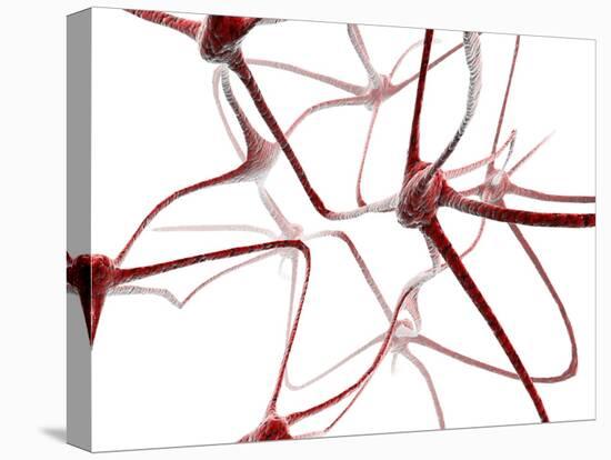 Nerve Cells-Christian Darkin-Stretched Canvas