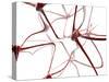 Nerve Cells-Christian Darkin-Stretched Canvas