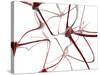 Nerve Cells-Christian Darkin-Stretched Canvas