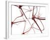 Nerve Cells-Christian Darkin-Framed Photographic Print