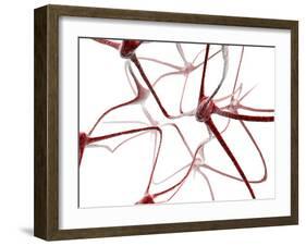 Nerve Cells-Christian Darkin-Framed Photographic Print