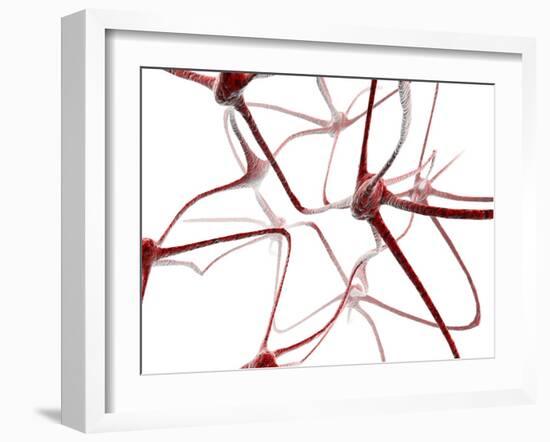 Nerve Cells-Christian Darkin-Framed Photographic Print