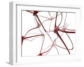 Nerve Cells-Christian Darkin-Framed Photographic Print