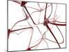 Nerve Cells-Christian Darkin-Mounted Photographic Print