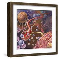 Nerve Ending, Seen in Lower Right, Sends Pain Message from Injured Muscle-null-Framed Art Print