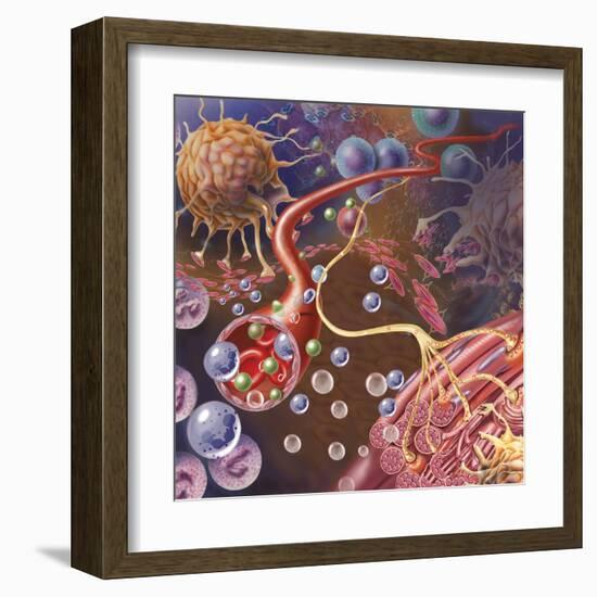 Nerve Ending, Seen in Lower Right, Sends Pain Message from Injured Muscle-null-Framed Art Print