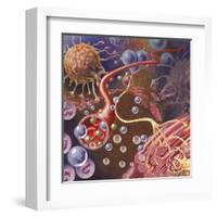 Nerve Ending, Seen in Lower Right, Sends Pain Message from Injured Muscle-null-Framed Art Print